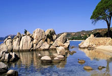  全运会最新形势：拜仁慕尼黑高居榜首，切尔西强势追赶，冠军归属成迷